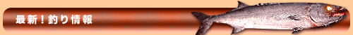 �ŐV�ނ���